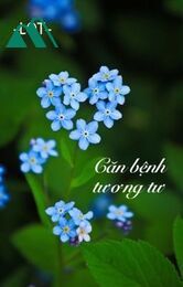 Căn Bệnh Tương Tư - Lqm