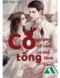 Cố Tổng Gương Vỡ Còn Có Thể Lành Sao