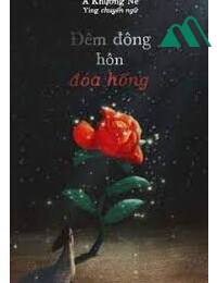 Đêm Đông Hôn Đóa Hồng