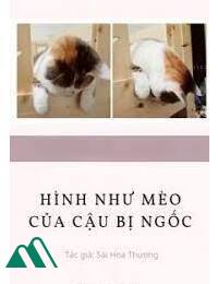 Hình Như Mèo Của Cậu Bị Ngốc FULL