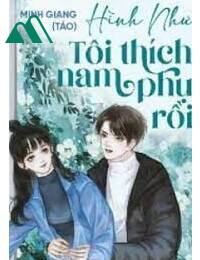 Hình Như Tôi Thích Nam Phụ Rồi