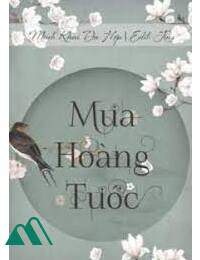 Mưa Hoàng Tước