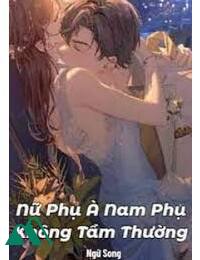 Nữ Phụ À Nam Phụ Không Tầm Thường