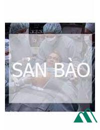 Sản Bào FULL