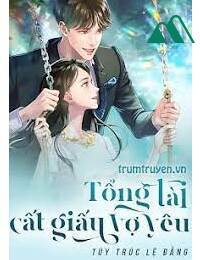 Tổng Tài Cất Giấu Vợ Yêu