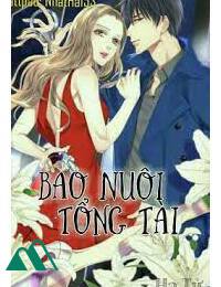 Tổng Tài Cầu Bao Nuôi