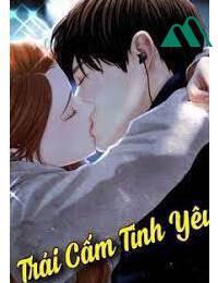 Trái Cấm Tình Yêu