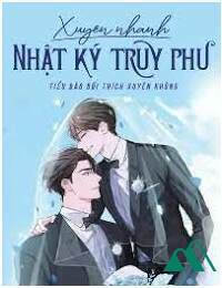 Xuyên Nhanh Nhật Ký Truy Phu