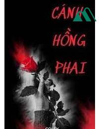 Cánh Hồng Phai