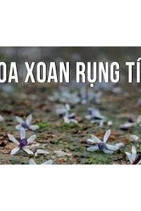 Hoa Rụng Rồi